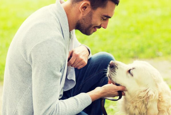 Seu cachorro é ligado a você? Descubra aqui