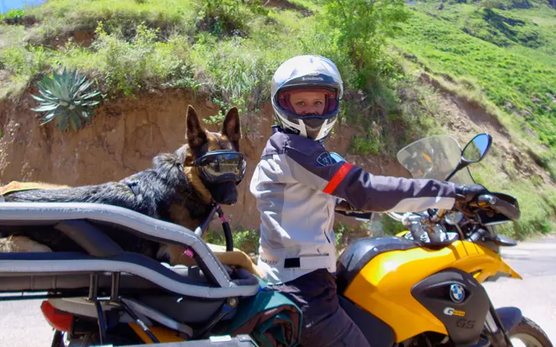 Pastora alemã faz viagens incríveis de moto com a mãe Pastora-alema-viaja-de-moto-com-a-mae