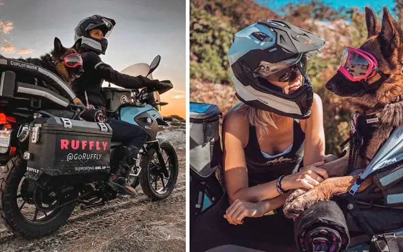 Pastora alemã faz viagens incríveis de moto com a mãe Pastora-alema-viaja-de-moto-com-a-mae