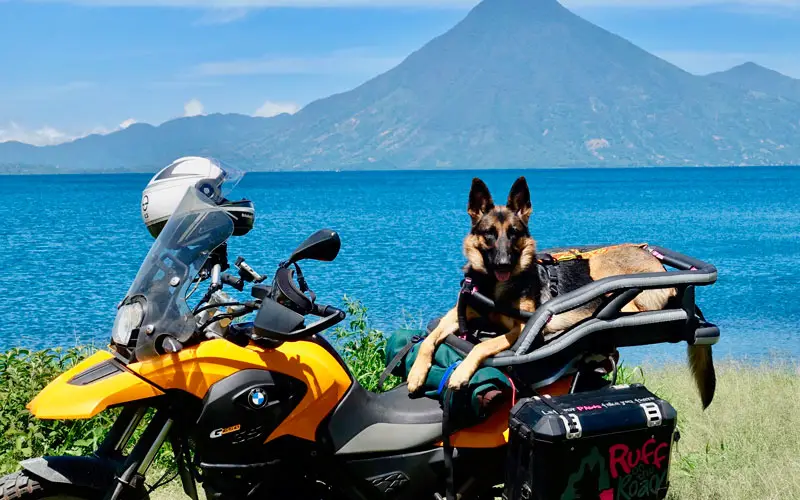 Pastora alemã faz viagens incríveis de moto com a mãe Pastora-alema-viaja-de-moto-com-a-mae