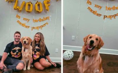 A-familia-deste-cachorro-deu-lhe-uma-festa-de-aniversario-surpresa