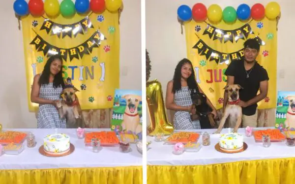 Festa-de-aniversario-para-cachorro