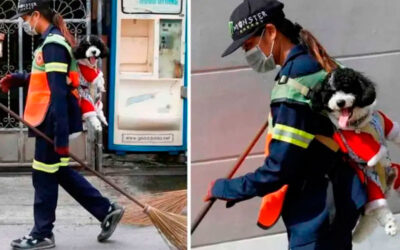 Gari-leva-caozinho-adotado-todos-os-dias-para-fazer-companhia-enquanto-limpa-as-ruas