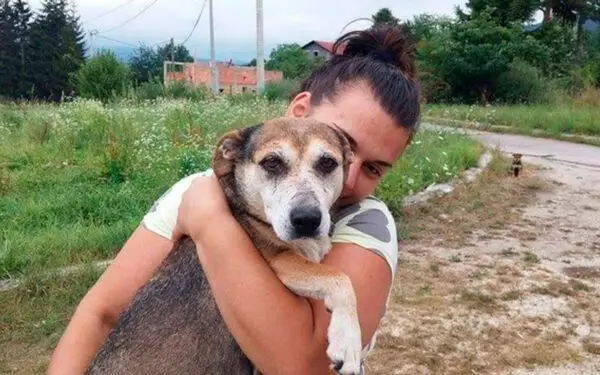 Motorista para para ajudar cachorra na estrada e tem uma bela surpresa