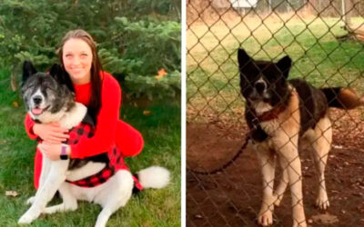 Mulher alimentou uma cachorra acorrentada durante um ano, até conseguir adotá-la