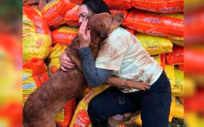 Mulher-doa-racao-para-abrigo-e-ganha-abraco-de-um-dos-cachorros