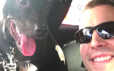 Policial salva cachorro da chuva e os dois se tornam melhores amigos