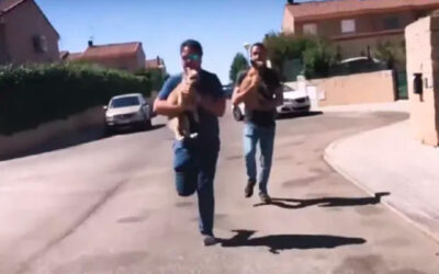 Voluntários invadem terreno para resgatar cães maltratados