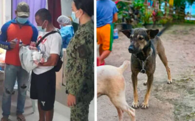 Cachorro-leva-motociclista-ate-bebe-recem-nascido-abandonado-em-lixao