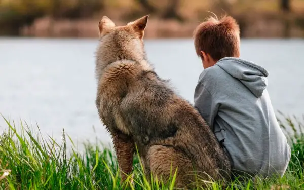 Crianças com pets são mais saudáveis?