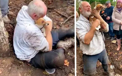 Homem-cai-em-lagrimas-depois-de-tirar-seu-cachorrinho-de-um-buraco