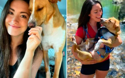 Mulher-encontra-cachorrinho-ferido-na-trilha-adota-o-e-agora-eles-sao-inseparaveis