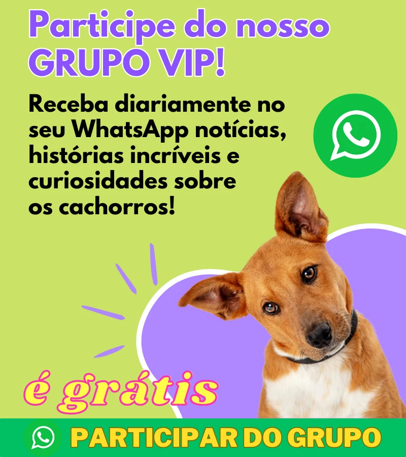 Grupo WhatsApp