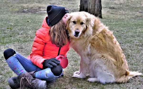 Os cães refletem a personalidade dos tutores? 