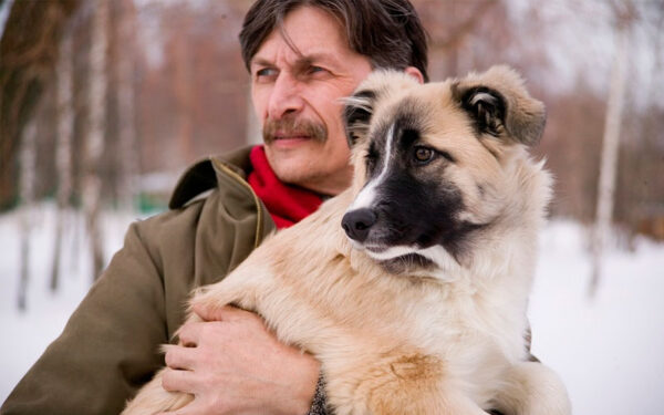 Os cães refletem a personalidade dos tutores? 