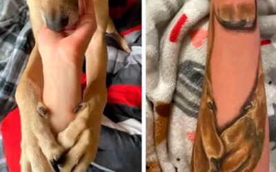 Mulher faz tatuagem em memória do cachorro adotado