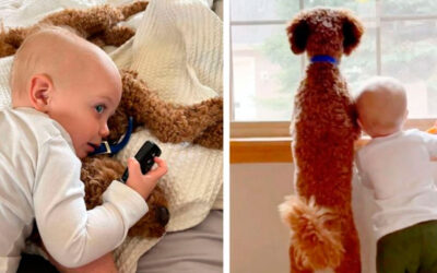 Criança e cachorro crescem juntos e se tornam amigos inseparáveis