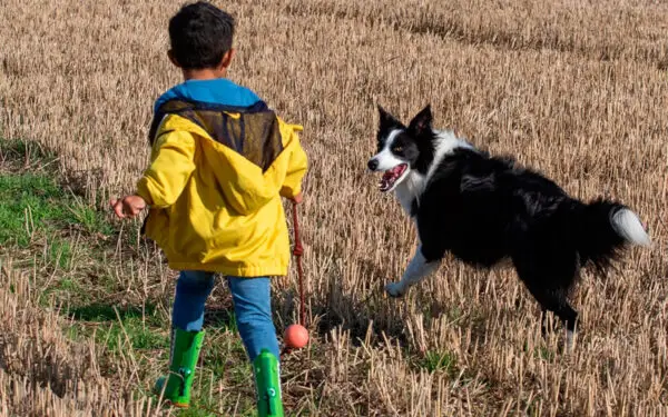 Ensinando crianças a serem gentis com cachorros