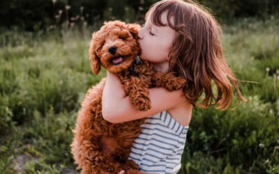 Ensinando-crianças-a-serem-gentis-com-cachorros