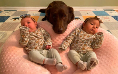 Cachorra aprendeu a ser a irmã mais velha perfeita de dois bebês