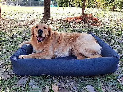 As 10 melhores camas para cachorro