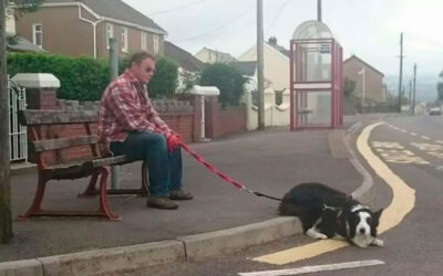 Esta-homenagem-póstuma-celebrou-a-vida-de-mais-um-cachorro-leal-5