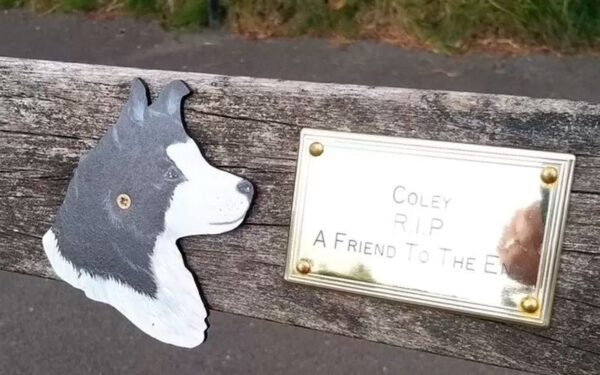 Esta homenagem póstuma celebrou a vida de mais um cachorro leal