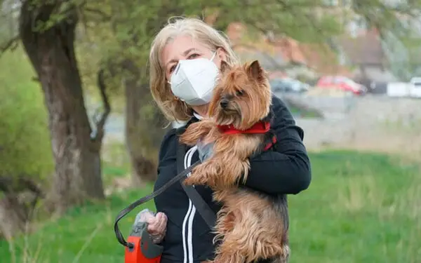 Cães podem ter a chave para a cura do câncer