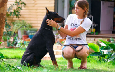 Falar-com-voz-de-bebê-funciona-com-os-cachorros.1