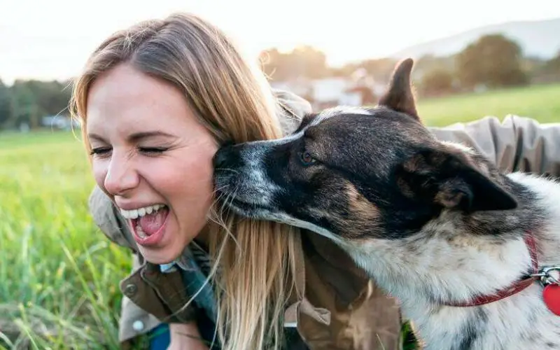 O-significado-dos-gestos-caninos