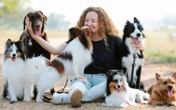 Expressões de gratidão dos cachorros