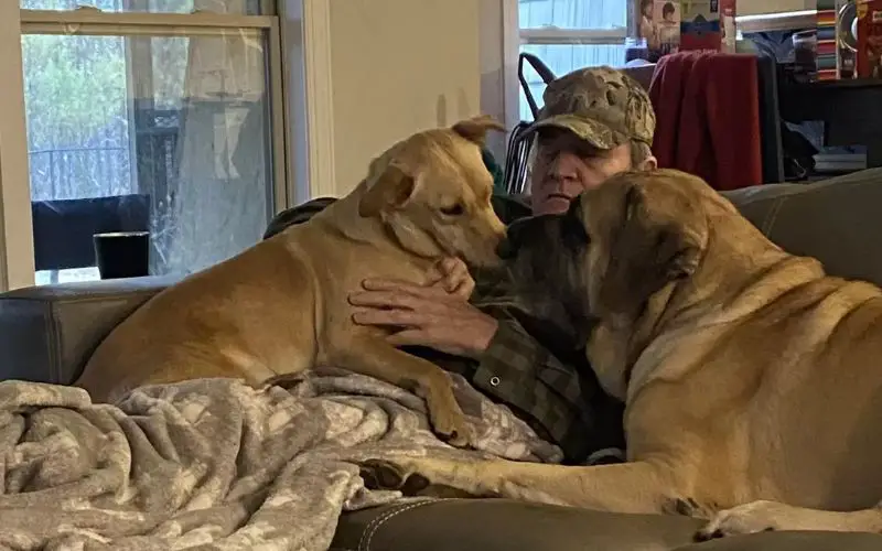 Mulher encontra o pai dormindo com os cachorros da vizinhança 1