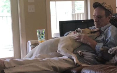 Mulher encontra o pai dormindo sempre com os cachorros da vizinhança