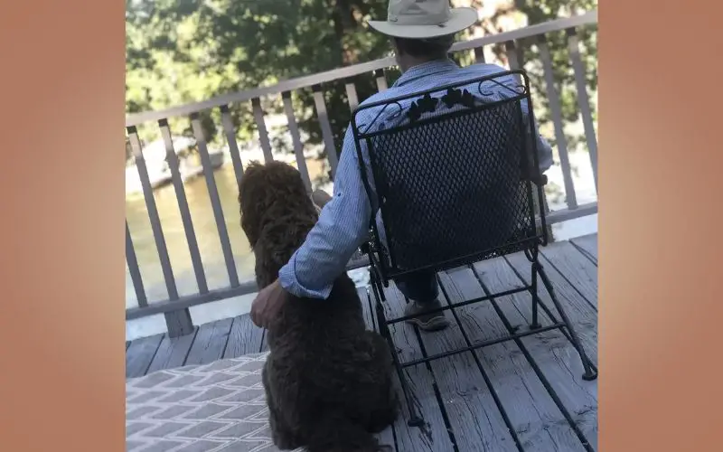 Mulher encontra o pai dormindo com os cachorros da vizinhança 3