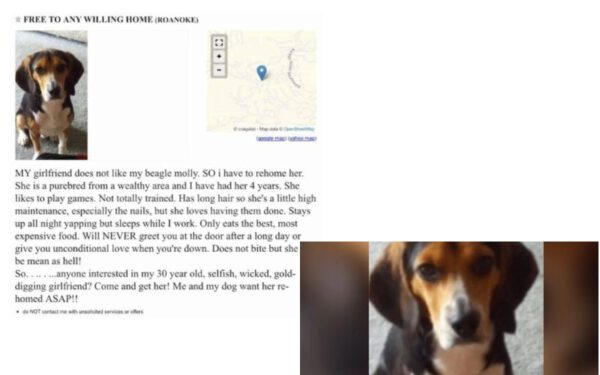 Namorada d&aacute; ultimato ou a cachorra ou eu 3