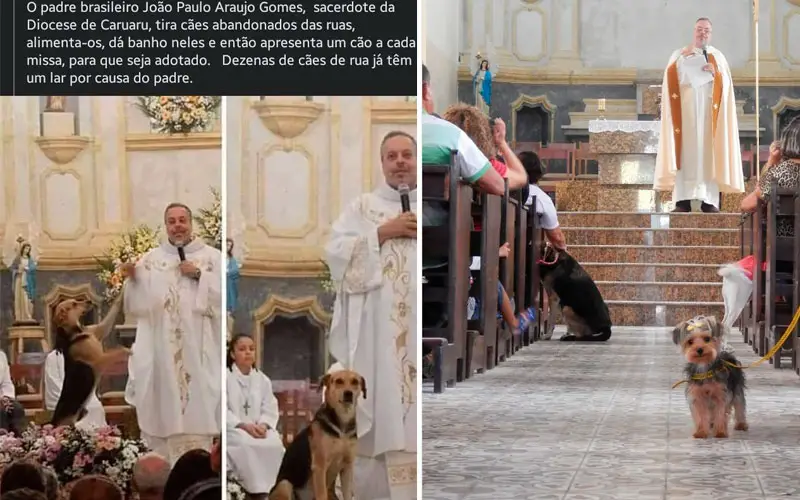 Padre usa missa para fazer campanha de adoção de cães