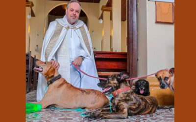 Padre usa missa para fazer campanha de adoção de cães