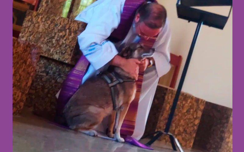 Padre usa missa para fazer campanha de adoção de cães