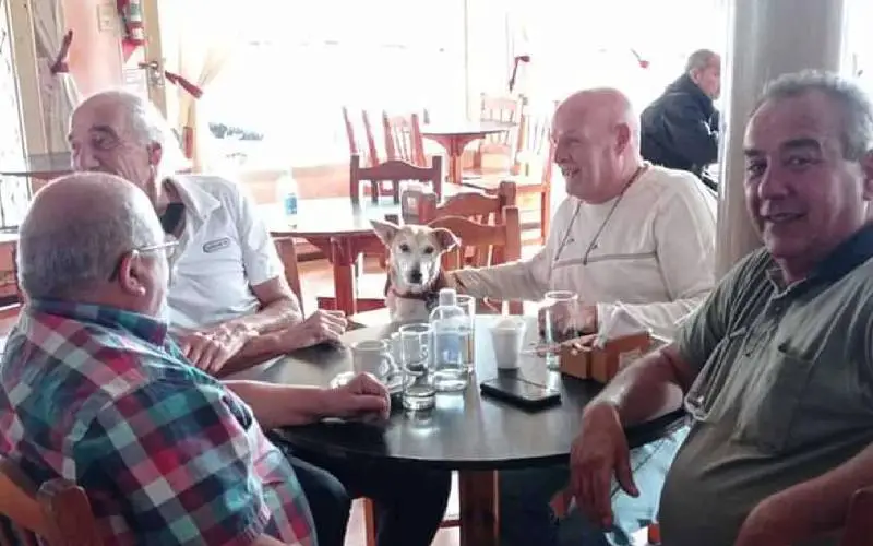 Um restaurante bom pra cachorro 1