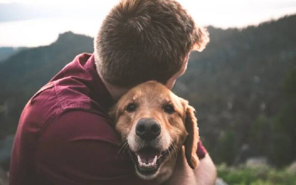 Por que os cachorros têm medo de trovões?