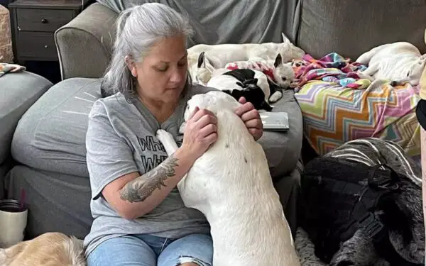 Mulher transforma a própria casa em abrigo para cães idosos