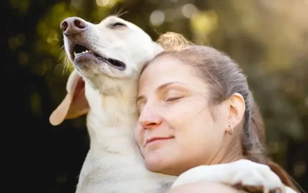 Todos os cachorros gostam de abraços 4