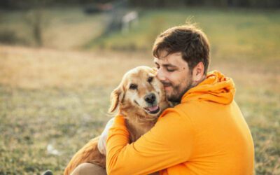 Os cachorros gostam de abraços?