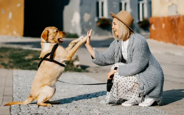 benefícios de um cachorro para a saúde mental humana 2