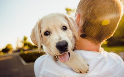 Os benefícios de um cachorro para a saúde mental humana