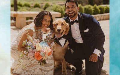 Cachorro interrompe casamento para recuperar bolinha de estimação