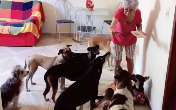 Cachorros comemoram o aniversário da vovó 1