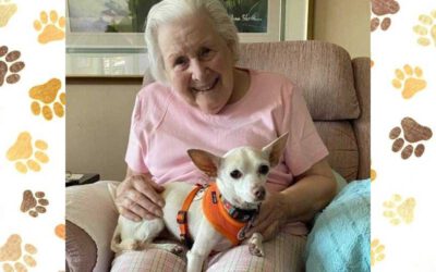 Mulher de 100 anos adota cachorro idoso de 11 anos para ter uma companhia