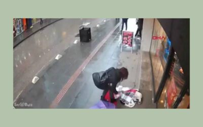 Mulher agasalha cachorro de rua com peça da própria roupa 3
