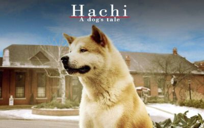 Curiosidades sobre o filme Hachiko: Sempre a Seu Lado